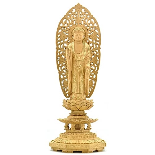 yy@E@zؐ ɔ@ ؍ p M^w Dt