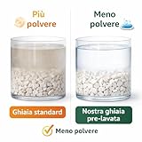 CLOROPHILLA B0GKHK8SD5 lato 3