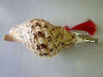 法螺貝　笛　木製吹口付き　和楽器 法螺貝 笛 木製吹口付き 和楽器