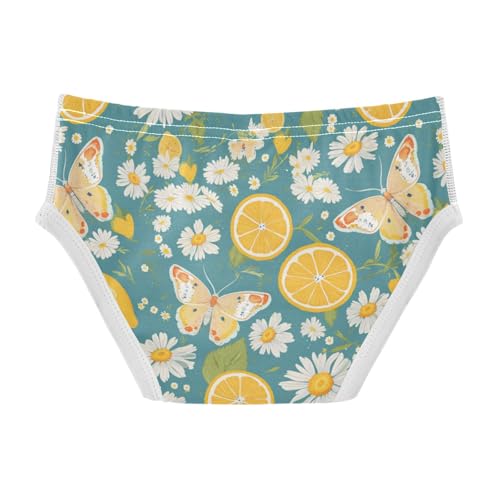 Wusikd Lemons Flowers (2) Boys' Underwear Cotton Boys Briefs Soft Toddler Underwear 2T2