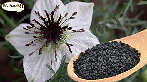 Organic Black Seeds Blackseed Whole Nigella Sativa Black Cumin Seed Kalonji Habbatus Sauda Sunnah Spice Herbs Herbal Fresh Raw Natural Vegan Non GMO, Gluten Free, Additives Free (1 Lb / 450 gm) - Thumbnail 3