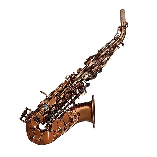 vtFbVi TbNX ^Ȋ B tbgTbNXǊy^J{fBAeB[N\ʃTbNX