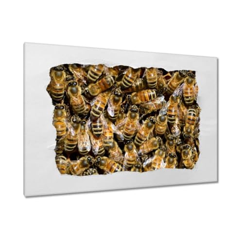 Peinture imprimée sur toile pour habiller un grand mur vide tableau abeilles 120 x 80 cm H9952M