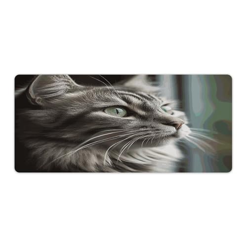 Tapis de souris chat gris pour la rentrée scolaire et l'université