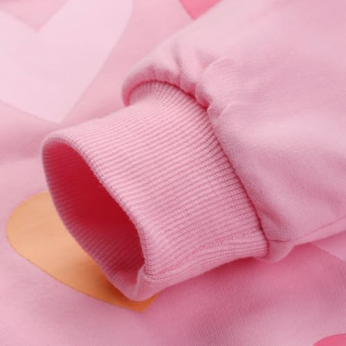 Image of Little Girls Outfits 2 Piece Toddler Long Sleeve Sweatshirt Leggings Pants Fall Winter Clothing Set 2-10 Years