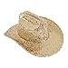 RIAH FASHION Women's Classic Fedora Hat Sparkly Glitter Sequin - Western Cowboy Cowgirl Cosplay Party Costume (US, Alpha, One Size, Gold)