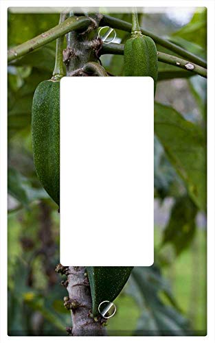 Switch Plate Single Rocker/GFCI - Babaco Food Leaf Fruit Nature Plant