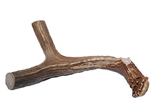 Big Dog Antler Chews Brand - Xl Deer Antler Dog Chew - Extra Large, Jumbo, For Large Dogs And Puppies Who Are Aggressive Chewers #TOP1