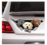 Regalos y decoraciones de calcomanías para automóviles, perfectos para regalos y decoraciones de vacaciones. Pasta para usar en automóviles, bicicletas, computadoras portátiles, teléfonos celulares, botellas de agua, maletas, libros o pantallas de lámparas, etc.