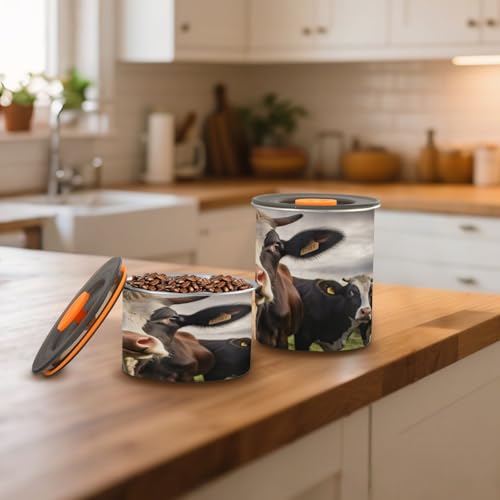 Envase hermético para café de acero inoxidable 500ml miniatura 6