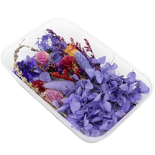 Flores secas prensadas, decoraciones florales, flores secas, bricolaje, flores secas, plantas secas, crisantemo, incienso, velas, resina, fabricación de jabón, accesorios for manualidades(Beige)