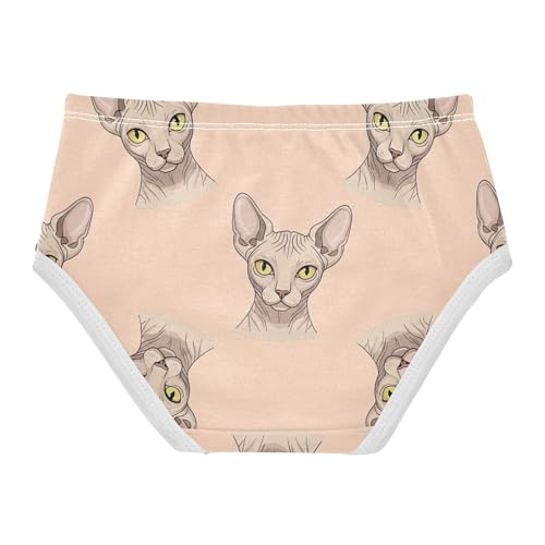 Cartoon Kitty Sphynx Cats Beige Panties for Girl Toddler Girls Underwear Cotton Fancy Kids Briefs Undies 2t2
