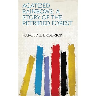 Agatized Rainbows: A Story of the Petrified Forest