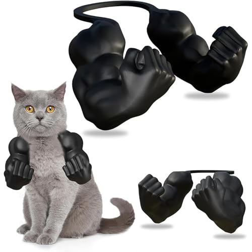 L ؓr L̘̋ؓr L RXvߑ RX`[ ANZT[ ʔ ybg̏ ݂r 3Dvg Lp rؓ ݂r ybgRXv a nEB NX}X p[eB[ (ubN)