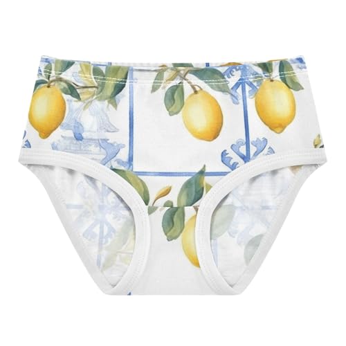 Toddler Girl Panties, Vintage Lemon Blue Girls' Cotton Brief Underwear, 2T–8 Years