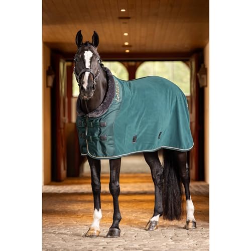 Tapis de luxe en polaire pour cheval idéal pour les concours en hiver
