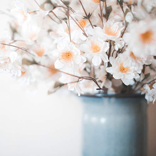 Smyang Piano & Nicholas Yee