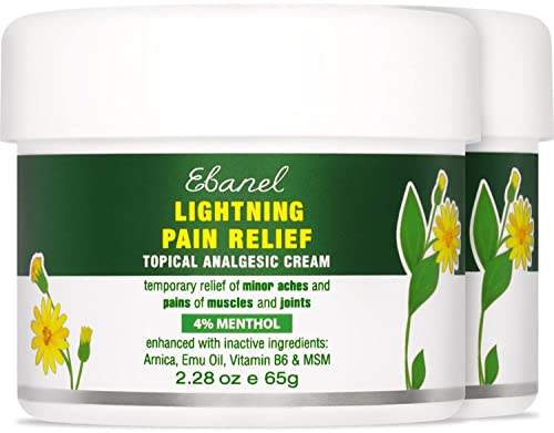 Ebanel Menthol Arnica Gel Pain Relief Cream with Hemp Oil, Emu Oil, MSM, Camphor, Vitamin B6, Anti Inflammatory Bruise Cream Muscle Rub for Arthritis, Nerve Joint Neck Shoulder Back Pain, 2-Pack