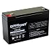 ExpertPower 6V 10AH Sealed Lead Acid (SLA) Battery with F1 Terminal