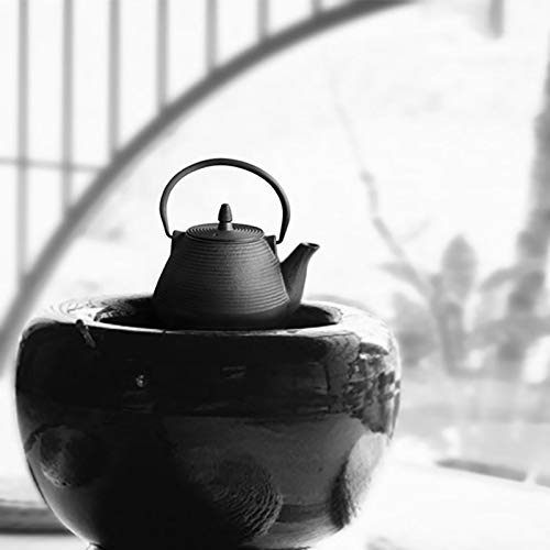 TOWA Workshop Japanese Tetsubin Tea Kettle Cast Iron Teapot with Stainless Steel Infuser (900ml)