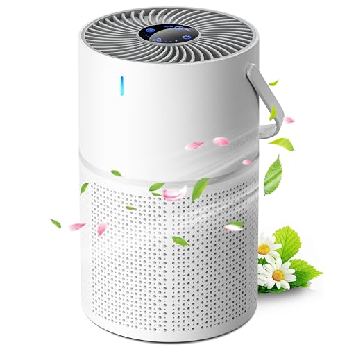 空気清浄機 小型 【360°循環浄化・極静音・花粉対策】13畳 USB 節電対策...