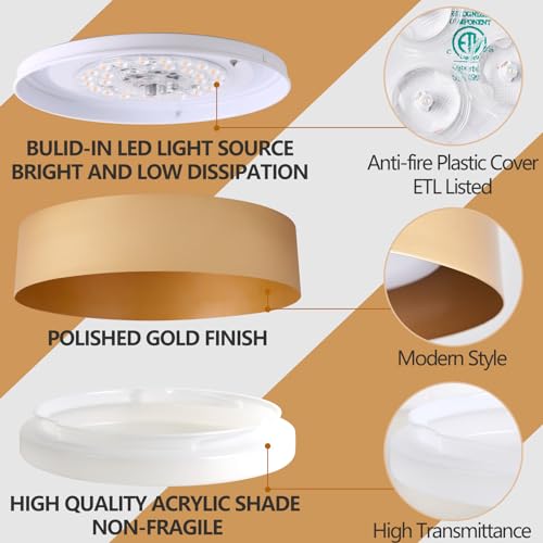 Image of Bargeni Gold Flush Mount Ceiling Light,LED Ceiling Light Fixture