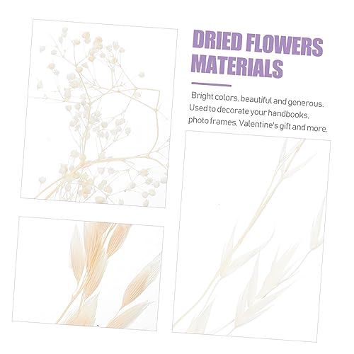 Kit de Flores Secas para Manualidades Flores Eternas Blancas miniatura 2