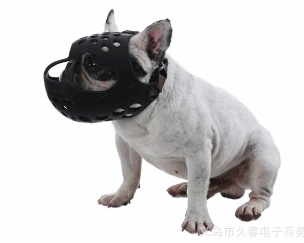 Muselière Panier pour Chiens Respirant Muselière de Chien à Museau Court avec Sangle Réglable Muselière pour Chien en Plastique Muselière Bouledogue Français Prévient L'aboiement Mâche