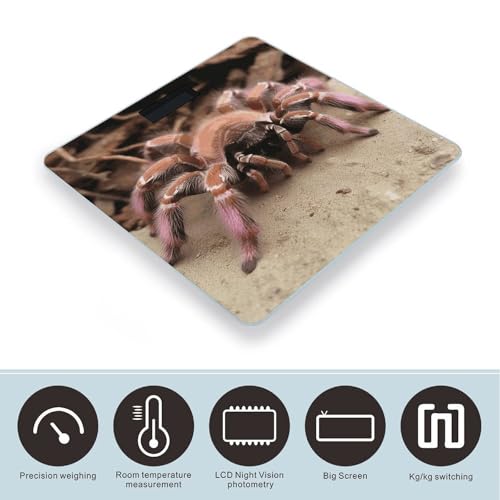 Báscula de baño digital con vidrio templado y pantalla LCD miniatura 3