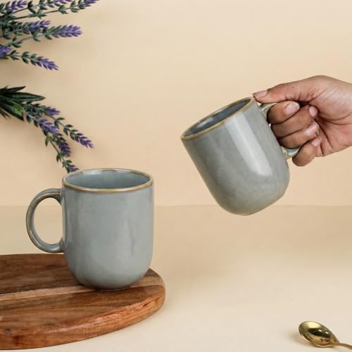 Image of The Earth Store Grey Cylus Coffee Mug - 320ML Ceramic Coffee Mugs Set of 4 | Microwave & Dishwasher Safe Mugs for Gift | Home | Office | Restaurant | Daily Use Tea Mug