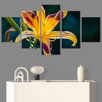 SIGNWIN 5 Panel Canvas Wall Art Flora Snapshot for Home Decorations Ready to Hang - 60