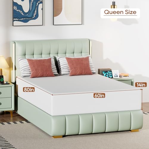 Image of FDW 14 Inch Queen Mattress, Medium Firm Base Foam, Breathable & Comfortable with Removable Washable Zipper Cover, Bed in a Box, CertiPUR-US Certified, White