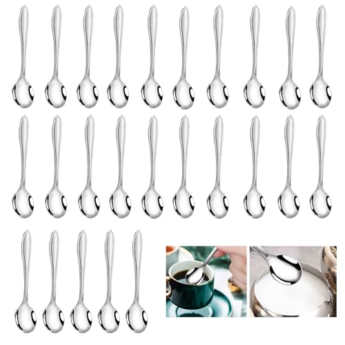 25 Pièces Mini Cuillères en Acier Inoxydable, 9,5 cm Petites Cuillères pour Épices Sel Sucre Miel Condiments Cuillère à Café et Sauce