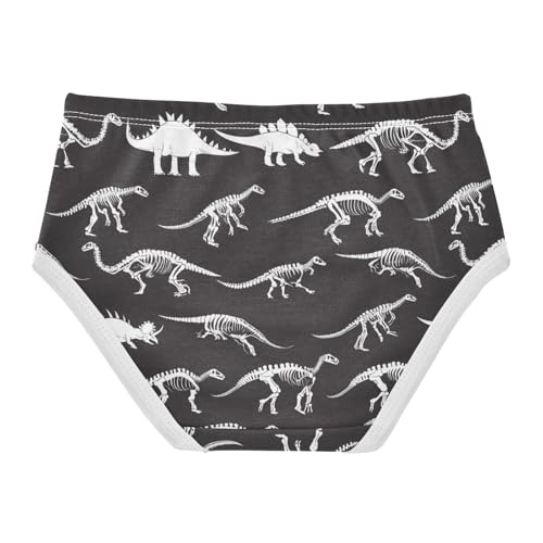Wusikd Dinosaur Girls' Underwear Cotton Girls Briefs Soft Toddler Underwear 2T2