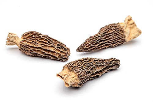 Dried Morel Mushrooms