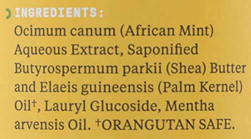 Alaffia - Authentic African Black Soap, All-In-One Body Wash, Shampoo, And Shaving Soap For All Skin And Hair Types, Fair Trade, No Parabens, Non-Gmo, No Sls, Peppermint, 16 Ounce #TOP3
