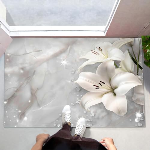 Tapis lavable absorbant pour stopper la boue dans votre entrée - 5