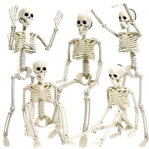 5 Pack Halloween Skeleton Decoration,16″ Full Body Posable Skeleton Realistic Human Bones with Posable Joints for Halloween Pose Prop Decor Yard Lawn Garden Patio Outdoor Haunted House Decorations
