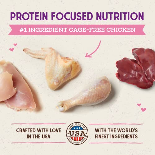 Stella & Chewy's Raw Coated Premium Kibble Cat & Kitten Food – Grain Free, Protein Rich Meals – Cage-Free Chicken for Kittens Recipe – 2.5 lb. Bag - image 2