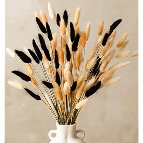 Bunny Tails Dried Flowers 100 Stems, Mini Pompas Grass, for Cute Boho Home Decor, Boho Kitchen Decor - 30pcs Black Rabbit Tail & 30pcs White Bunny Tail Plant & 40pcs Natural Brown Dried Bunny Tails Cover