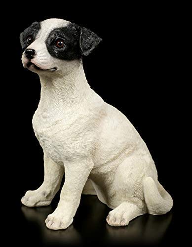Figuren Shop Gmbh Figura de Jardín - Jack Russel Cachorro Sentado Figura Decorativa, Casa Colección, Pintado a Mano
