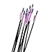 MILAEM 12 Pcs 30 Inch Archery Fiberglass Arrows Target Practice Arrows for Recurve or Compound Bow Outdoor Hunting Shooting (Purple)