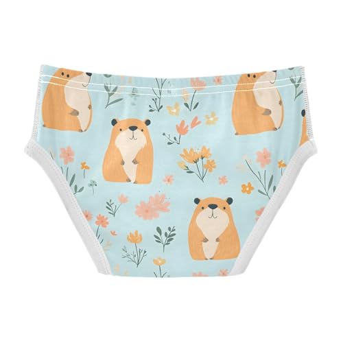 Cute Capybaras Spring Flower Toddler Boy's Underwear 2T 202b91422