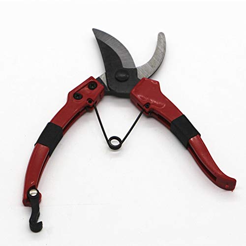 ATAAY Forbici da potatura da Giardino Forbici da potatura Forbici per Piante Cespuglio Strumento Colore Casuale