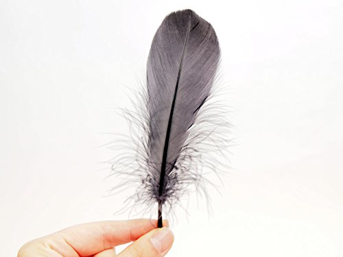 Amazon | 【羽】ナゴリヤ [028-Fe-02] ブラック/フェザーパーツ 羽根