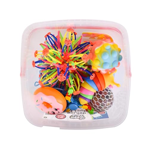 image for Sunny Days Entertainment 24 Piece Fidget Box, Sensory Toys with Storag