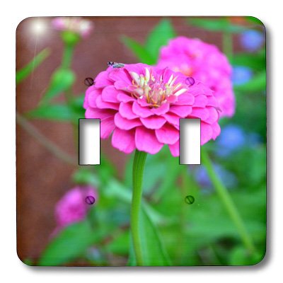 Interrupteur zinnia rose double appareil de commande electrique deco