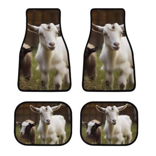 Tapis de sol voiture chèvre pour éviter les glissements et l'usure de la moquette