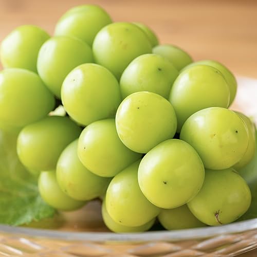 ベジップル シャインマスカット 2パック入(600g〜800g) の商品画像 2