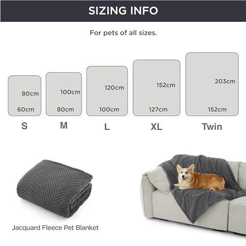 Bedsure Hundedecke für Haustier Hunde Katzen Welpen Weiche Warme Matte, flauschig und weich, Titan Grau 80x100 cm
